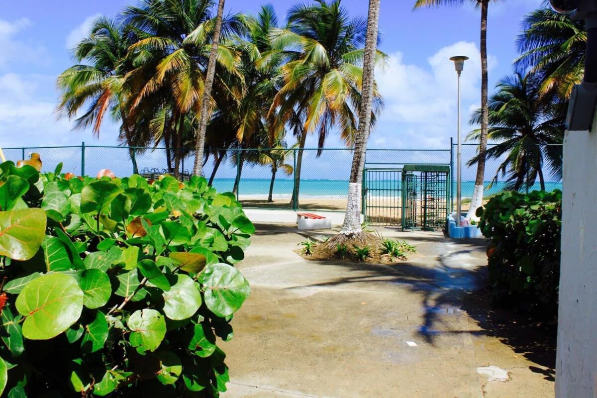 2Br Gem Ocean Front Building Isla Verde Beach サンジョアン エクステリア 写真